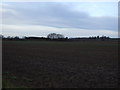 Farmland, Low Middleton in DL2 1AY