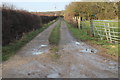 Track to Padmoor Farm in Lea Ward