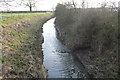 River Till from Cot Garth Lane in Willingham