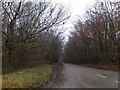 Stone Moor Plantations (looking south from Stone Moor Cross) in EX18 7EQ