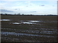Farmland off Back Lane in TS21 1BT