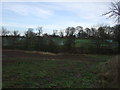 Farmland towards the caravan site, Coatham Stob in TS21 1AJ