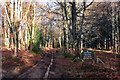 Track by Greyhone Wood in RG9 5PG