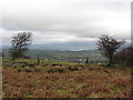 View NE from Clawdd Coch in LD3 7DQ