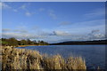 Castle Semple loch, Lochwinnoch in PA12 4HH