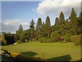 Redwoods at Gregynog Hall in SY16 3PW