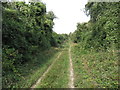 Bridleway leading west from Houghton, Hants in SO20 6RX