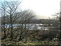 Dunalastair Water through the Trees in PH16 5PY