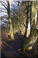 Path beside Loch of Kinnordy in DD8 5EW