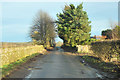 Minor road at Flocklones in DD2 5LE