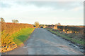 Minor road near Mains of Panmure in DD7 7SE