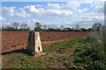 Field at New House Farm, with trig point in HR6 0NW