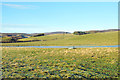 Farmland near Balfield in DD9 7UG
