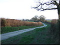 Lane at Rutleigh in EX20 3LZ