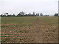 Fowlmere to Foxton footpath in SG8 7TG