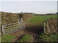 Field Gate in DT11 9DE