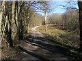 Path through Sole Plantation in RG20 8BR
