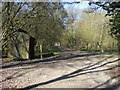 Path heading through Stibbs Wood in RG17 0PS
