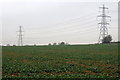 Pylons take power across the farmland in LU7 9QJ