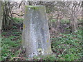 Ordnance Survey Trig Pillar S6772 in Wadenhoe