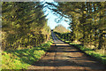 Farm road to East Kinmonth in AB39 3YZ