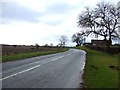 Elstob Lane heading south in TS21 2HF