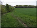 Path heading towards Ridge's Belt in RG7 5NB