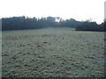 Frosty field in Devauden Community