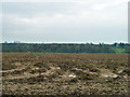 Ploughed field in Essex