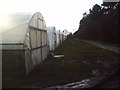 Polytunnels at Waterybutts Farm in PH14 9QL
