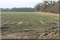 Muddy Fields near the A17 in NG24 2QU