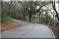 Sharp bend, Forest Rd in RH12 4HL