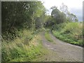 Track leaving Muirward Woods in PH2 6NR
