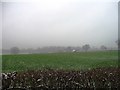 Overcast fields in SG13 8AT