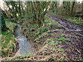 An unnamed brook and muddy track in WR11 4UQ