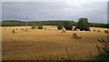 Balboughty bales in PH2 6AA