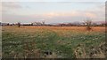 Open land off Pike Road in FK7 7UQ