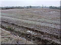 Frozen fields between Hawarden and Little Mancot in CH5 2ET