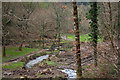 Venn Stream meandering through Riverton Wood in EX32 0QU