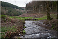 Looking up Venn Stream at a footbridge between Riverton Wood & Bushton Wood in EX32 0QU