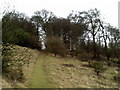 Look back at a path going up Shirburn Hill in OX49 5RR