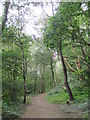 Path in Jarvis Brook Country Park in TN6 3FT