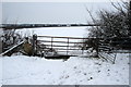 Gate on the bridleway to Hungry Hall in MK46 5FU