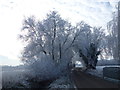 Winter time on Wisbech Road in PE14 9SG
