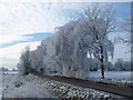 Winter on Wisbech Road in PE14 9SG