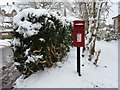 Corscombe: postbox № DT2 21 in DT2 0NZ