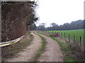 Bridleway past Treasurer's Dean Wood near Alderbury in SP5 3DL