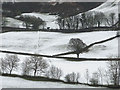 Snowy fields by the River Gilpin in LA8 8JA