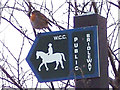 Robin on Bridleway Sign in SP5 3DL
