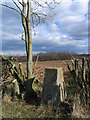 Ploughed field beyond trig point in TS8 9GP